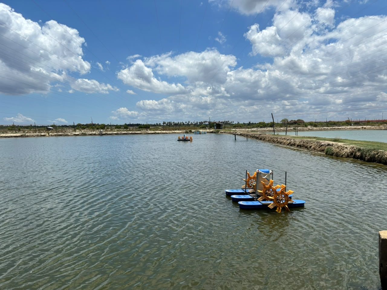 Paddlewheel aerators oxygenating a shrimp grow-out pond in Sri Lanka